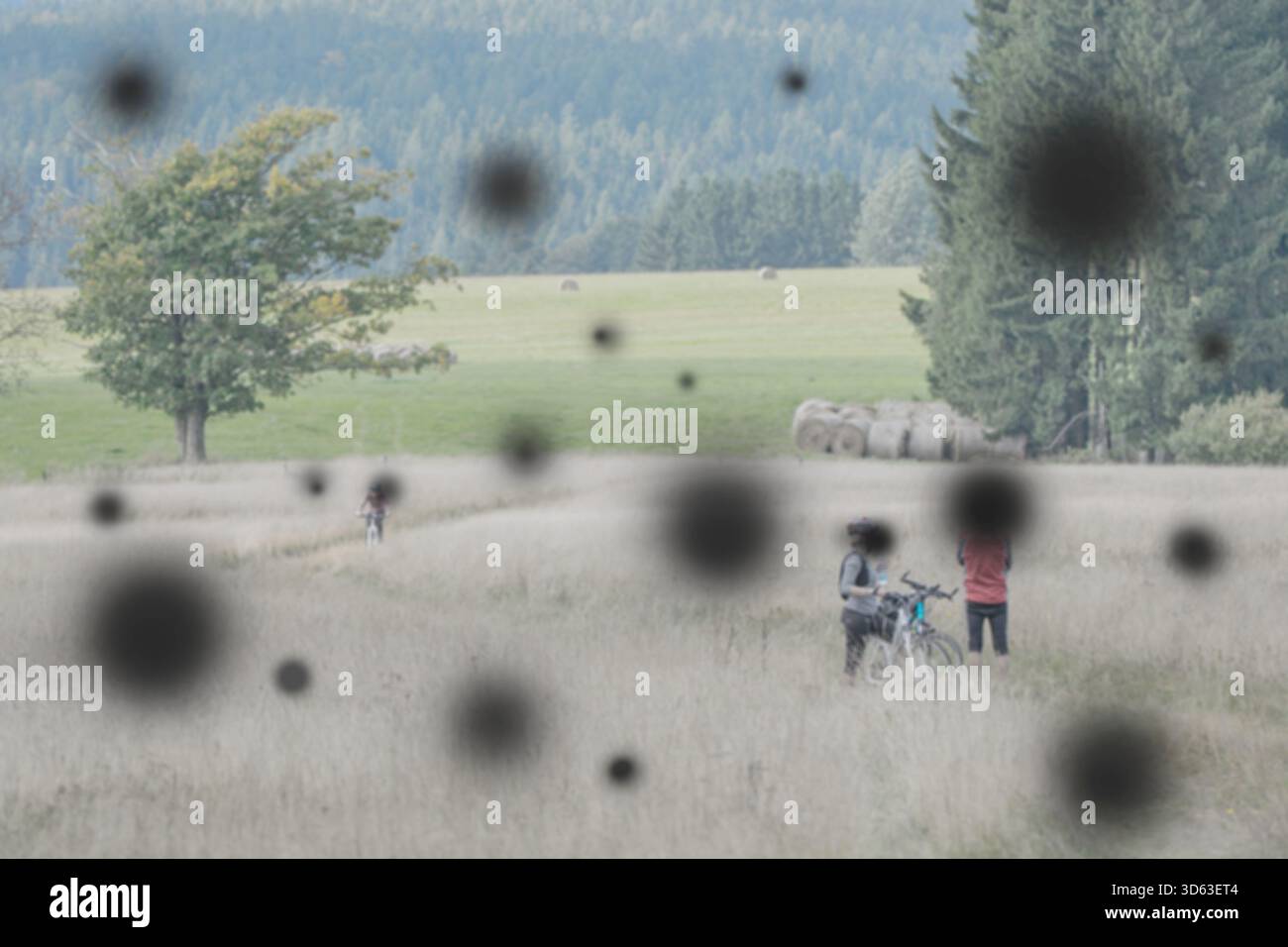 Retinopatia diabetica (occhio diabetico) . Macchie che fluttuano nella visione, visione offuscata, cecità. Una complicazione del diabete, causata da un alto livello di zucchero nel sangue Foto Stock
