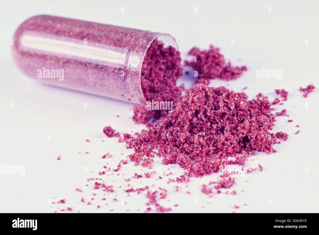 Macrophoto di capsula aperta con supplemento mirtilli rossi, concetto di problemi urinari Foto Stock