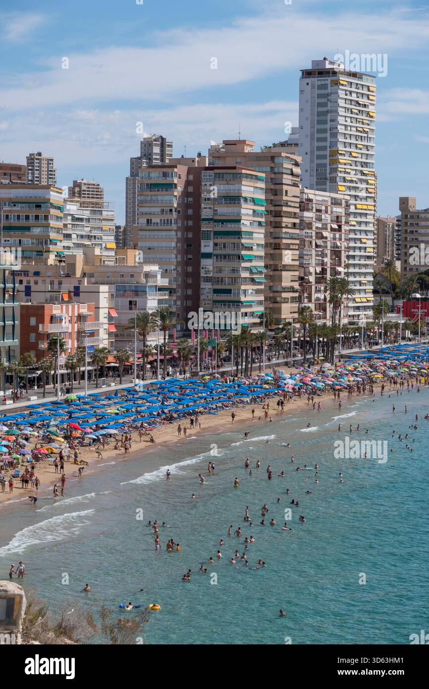 Spiaggia di Poniente e vista sulla costa di Benidorm, Spagna Foto Stock