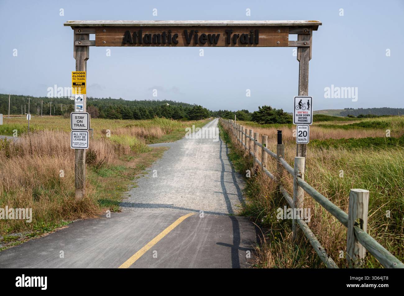 Natura lungo il sentiero con vista sull'Atlantico, Lawrencetown Beach Provincial Park, nuova Scozia, Canada Foto Stock