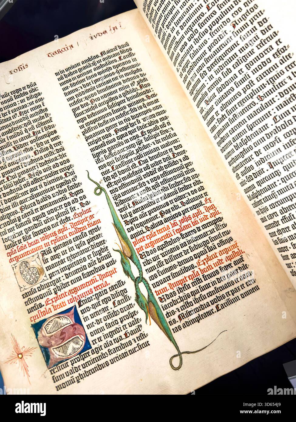 Primo piano di una pagina manoscritta miniata della Bibbia di Gutenberg con testo latino, iniziali decorative e illustrazione marginale della vite in un libro storico - Immagine stock catturata con smartphone