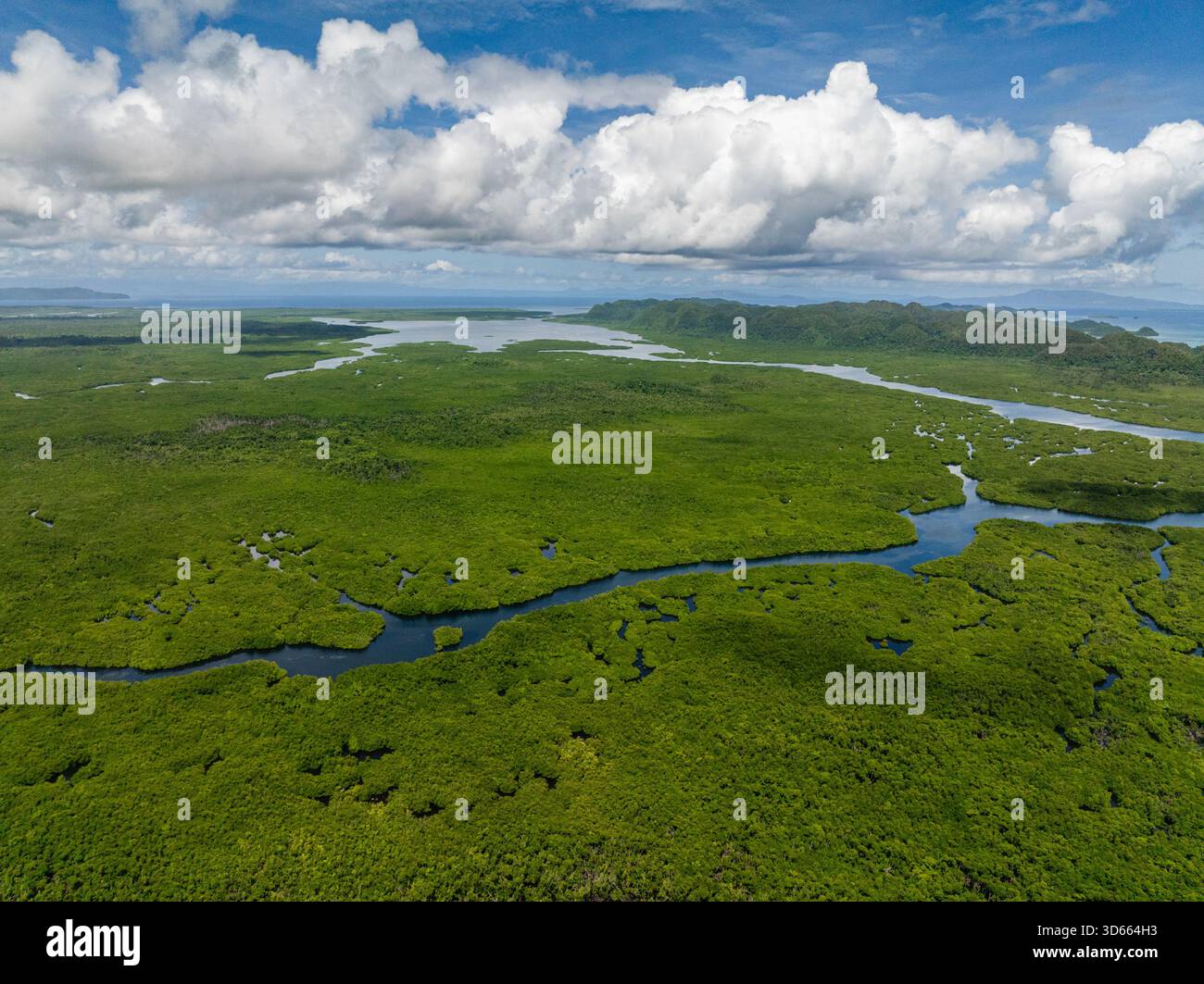 Ampia foresta di mangrovie con diramazioni di corsi d'acqua che si estendono fino all'orizzonte. Siargao, Filippine. Foto Stock