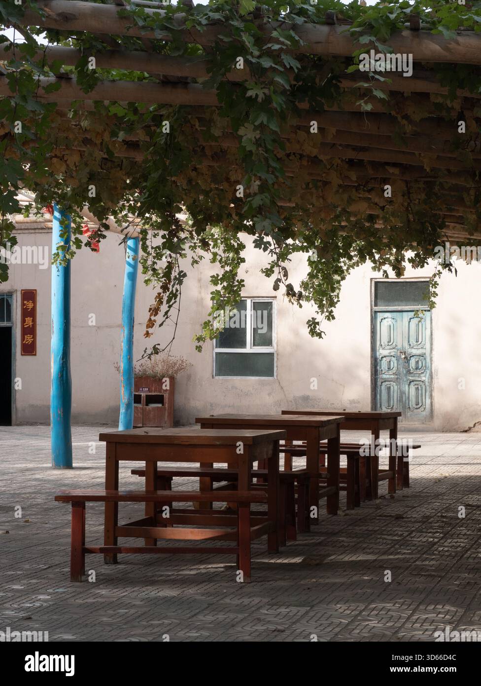 Tavolo in legno e area di riposo per sedie all'ombra delle viti Foto Stock