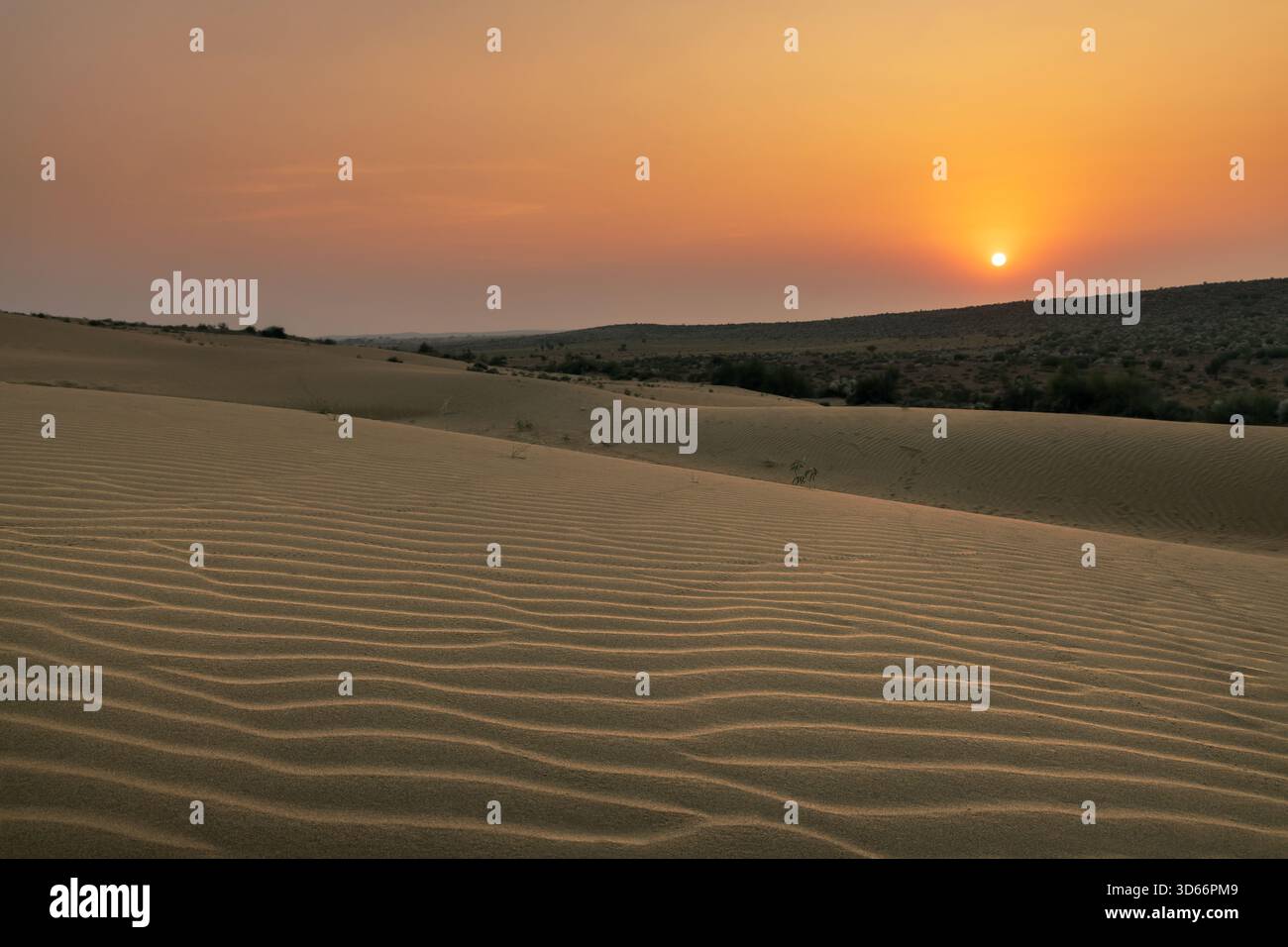 Alba sulle dune di sabbia ondulata ai margini del deserto del Thar nel Rajasthan, catturando una luce calda e soffusa, tessuti delicati e la serena scena del deserto Foto Stock