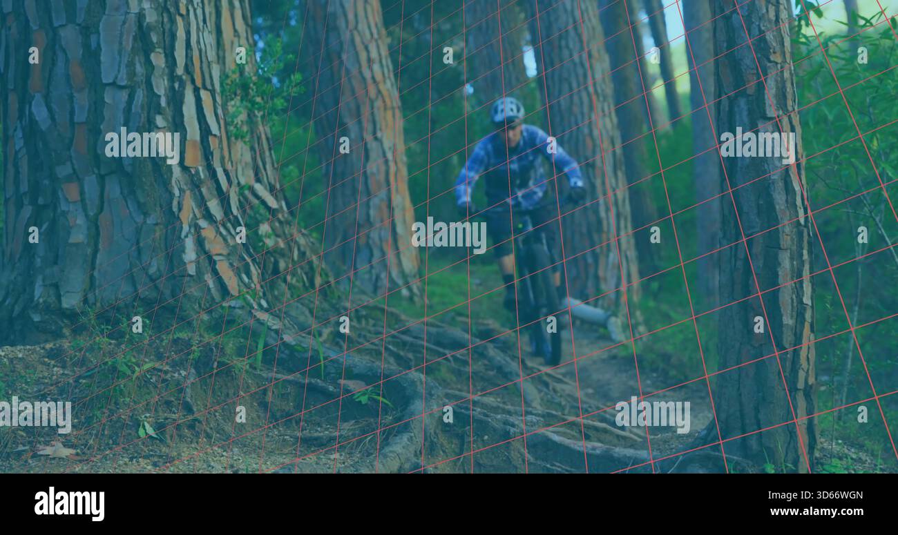 Mountain biker in mtb attraverso il rooty Pine Trail, con casco bianco guanti in Jersey blu, rete rossa Foto Stock