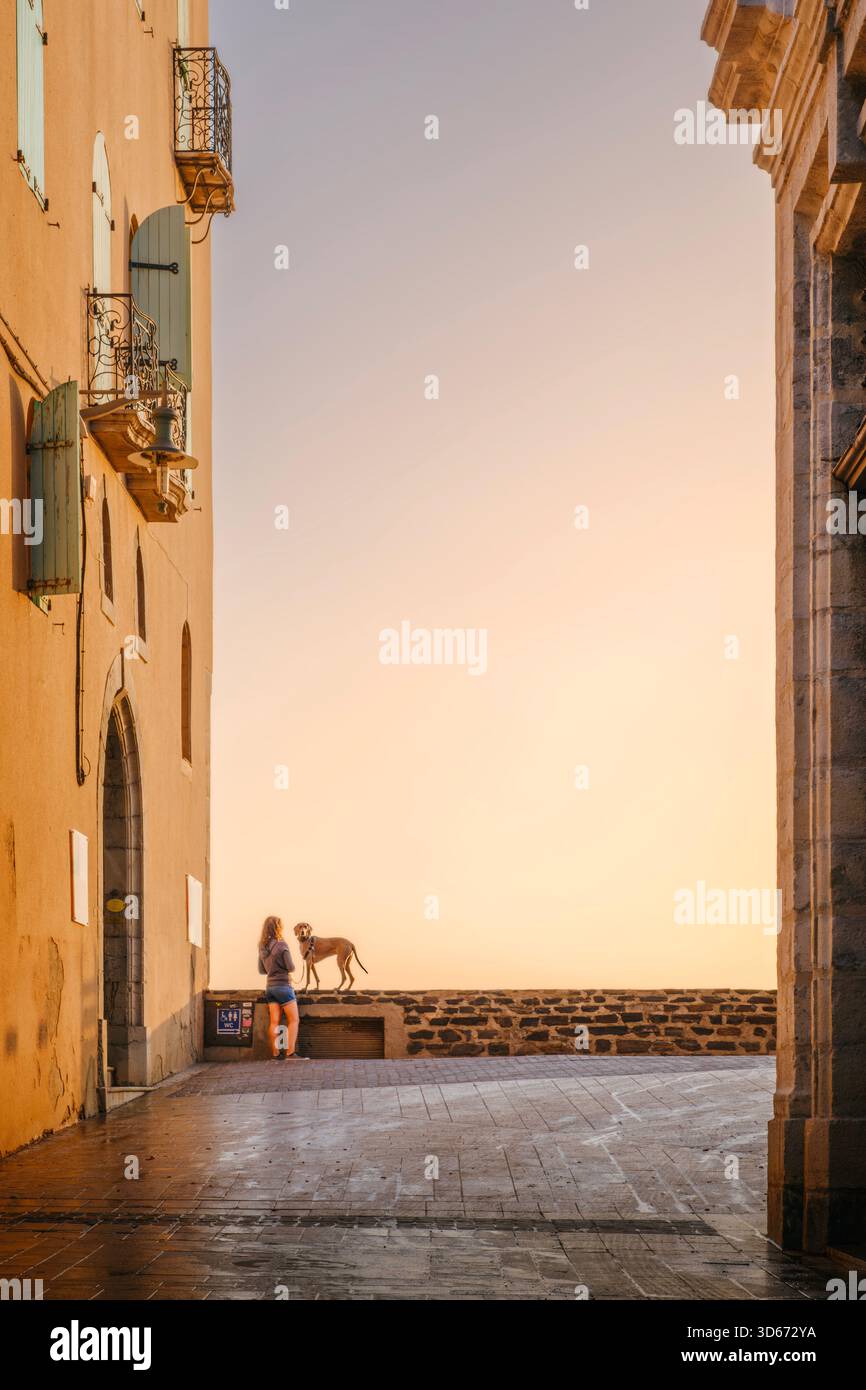 Giovane donna e il suo cane in piedi su una piazza di ciottoli sopraelevata, incorniciata da edifici storici al tramonto, Collioure, Francia Foto Stock