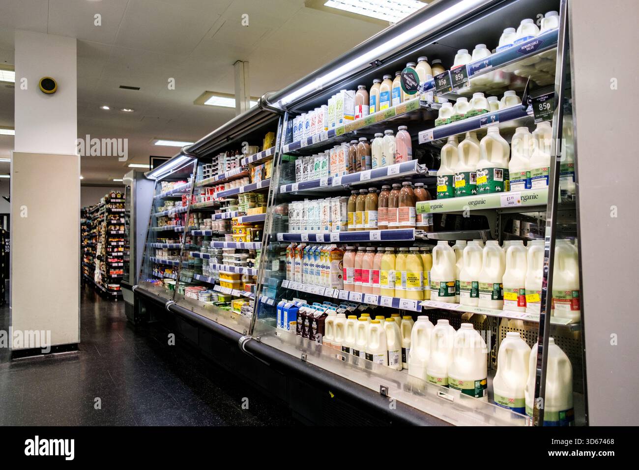 Londra Regno Unito, 17 novembre 2025, Selezione di latte intero britannico e frullati aromatizzati sul ripiano del supermercato Foto Stock
