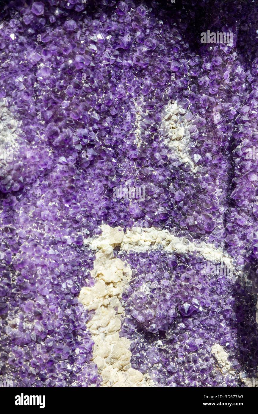 Geoda di ametista con formazione di cristalli, punte di quarzo viola e inclusioni minerali bianche che creano una trama geometrica catturata in una vista macro verticale Foto Stock