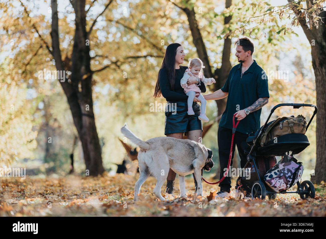Famiglia nel parco autunnale con bambino e cane che si godono una giornata autunnale di sole Foto Stock