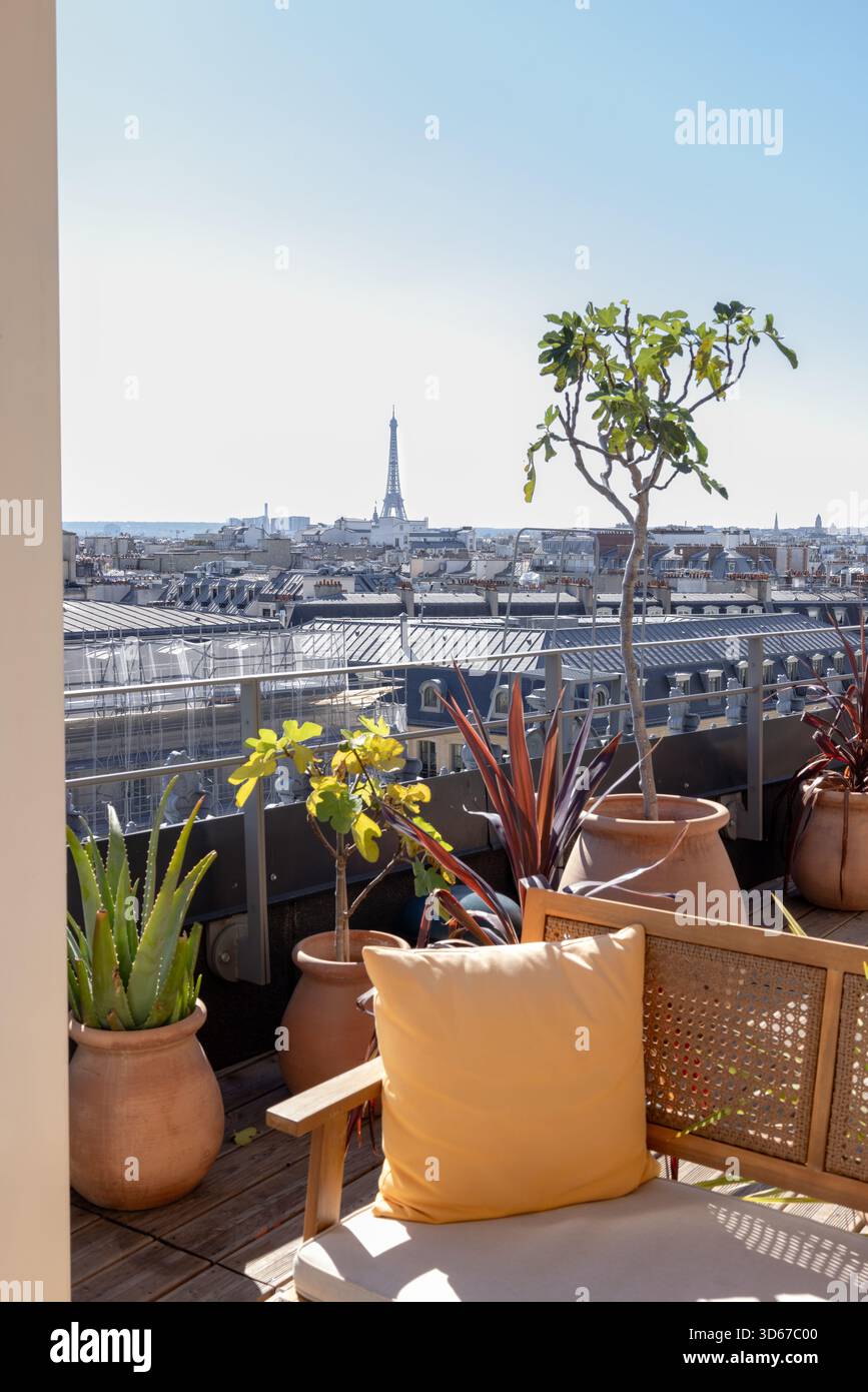 Parigi, vista della Torre Eiffel da una terrazza sul tetto Foto Stock