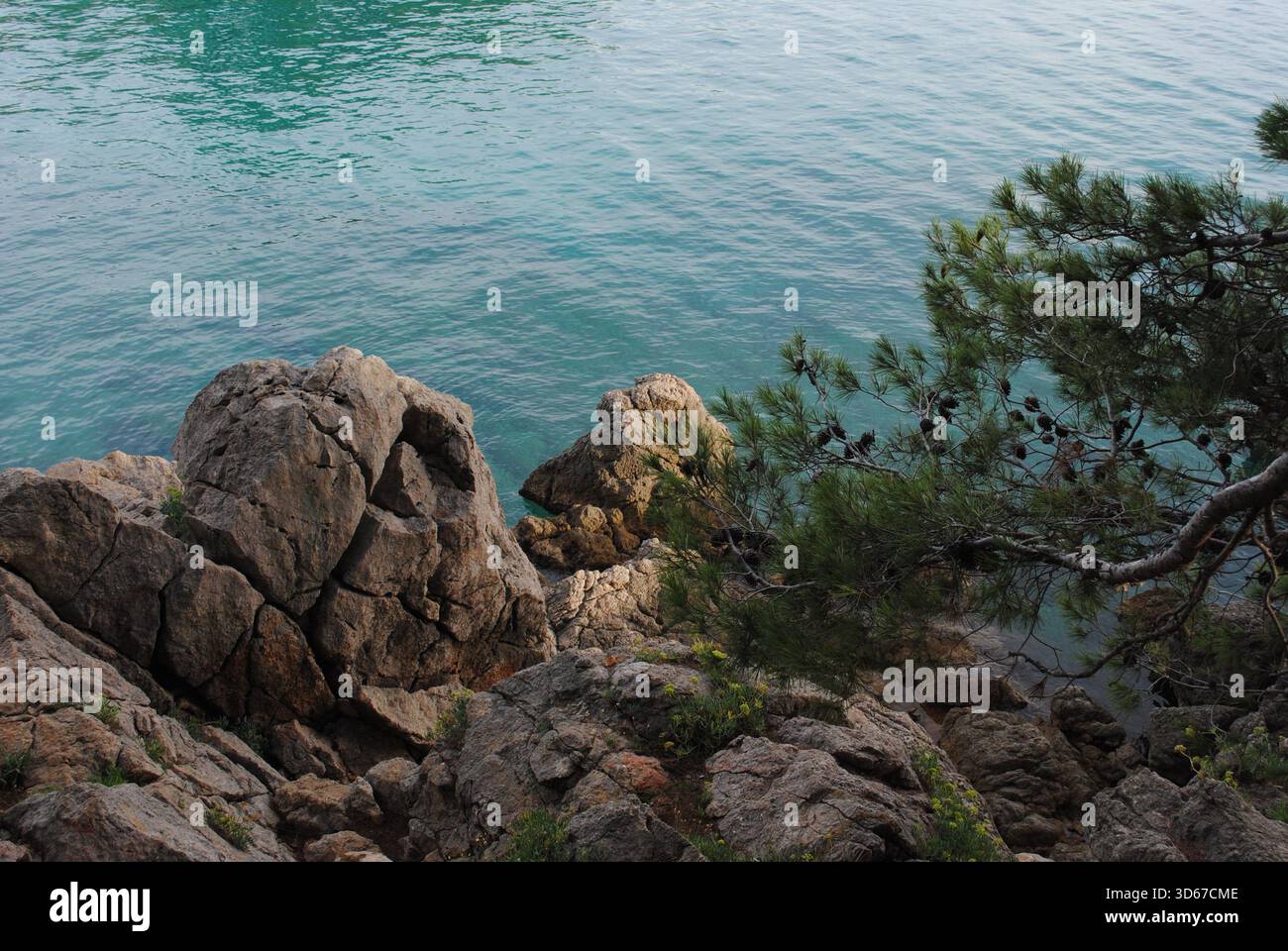 Mare turchese, onde leggere, rocce selvagge e pini mediterranei creano un'atmosfera da paradiso mediterraneo Foto Stock