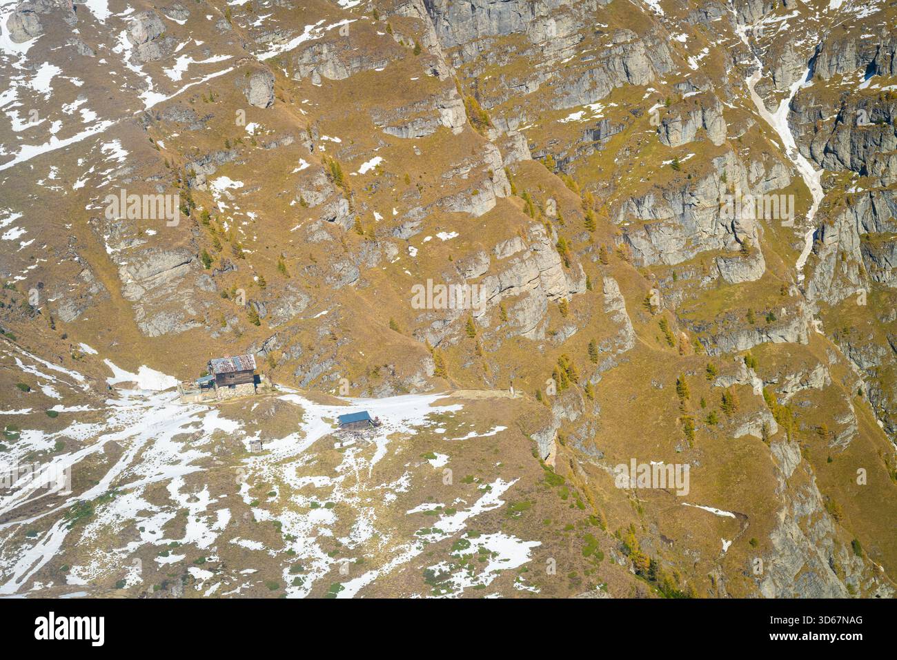 Pendii autunnali di montagna con larici dorati scolpiti nei Carpazi meridionali, Romania Foto Stock