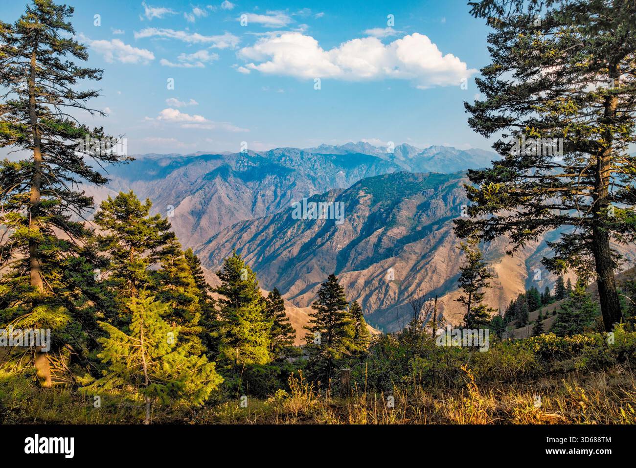 Hells Canyon, vista da Summit Ridge, vicino al tramonto, al Saddle Creek Campground, Seven Devils Mtns a dist, Wallowa Whitman Natl Forest, Oregon, Stati Uniti Foto Stock