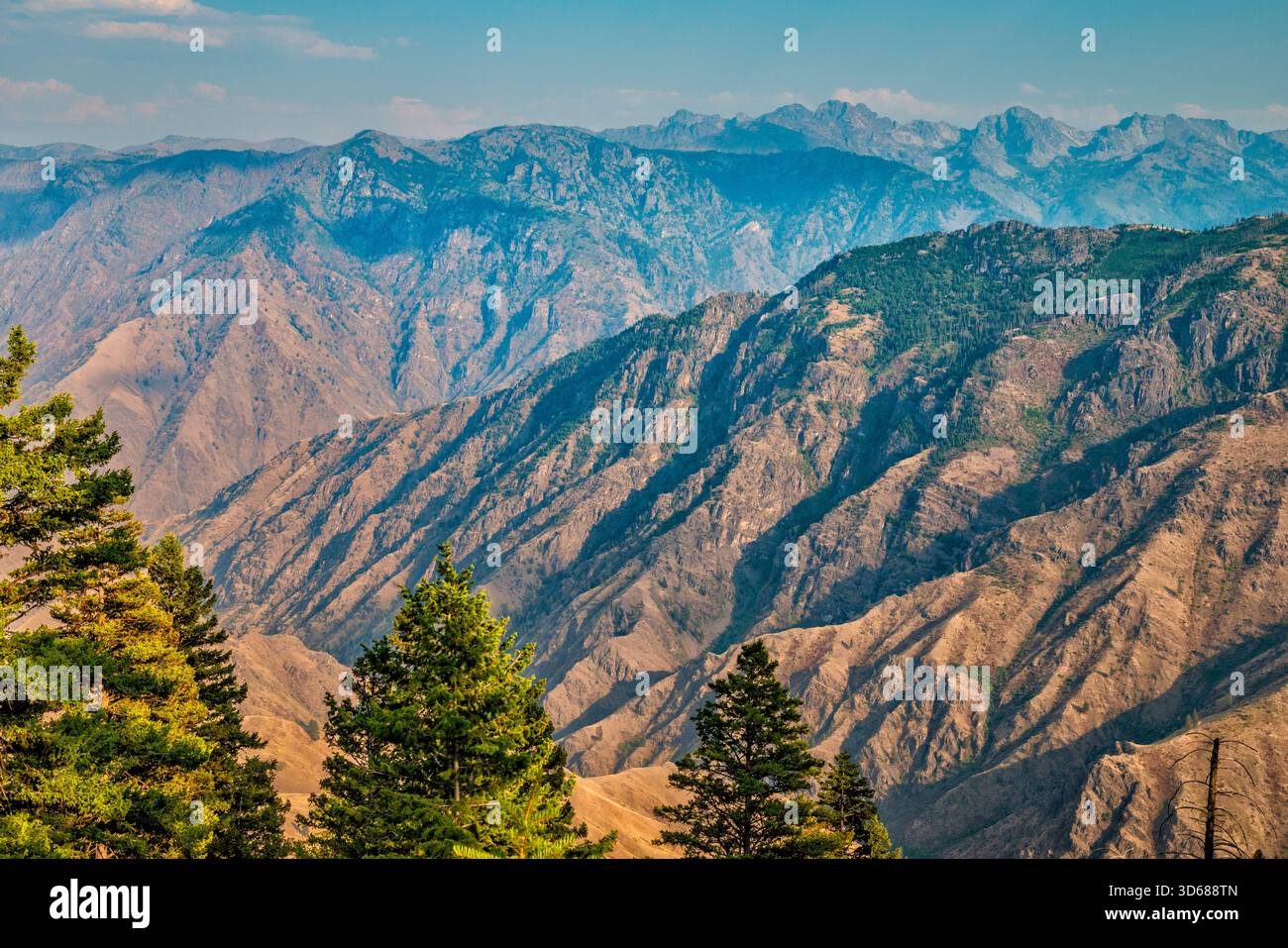 Hells Canyon, vista da Summit Ridge, vicino al tramonto, al Saddle Creek Campground, Seven Devils Mtns a dist, Wallowa Whitman Natl Forest, Oregon, Stati Uniti Foto Stock