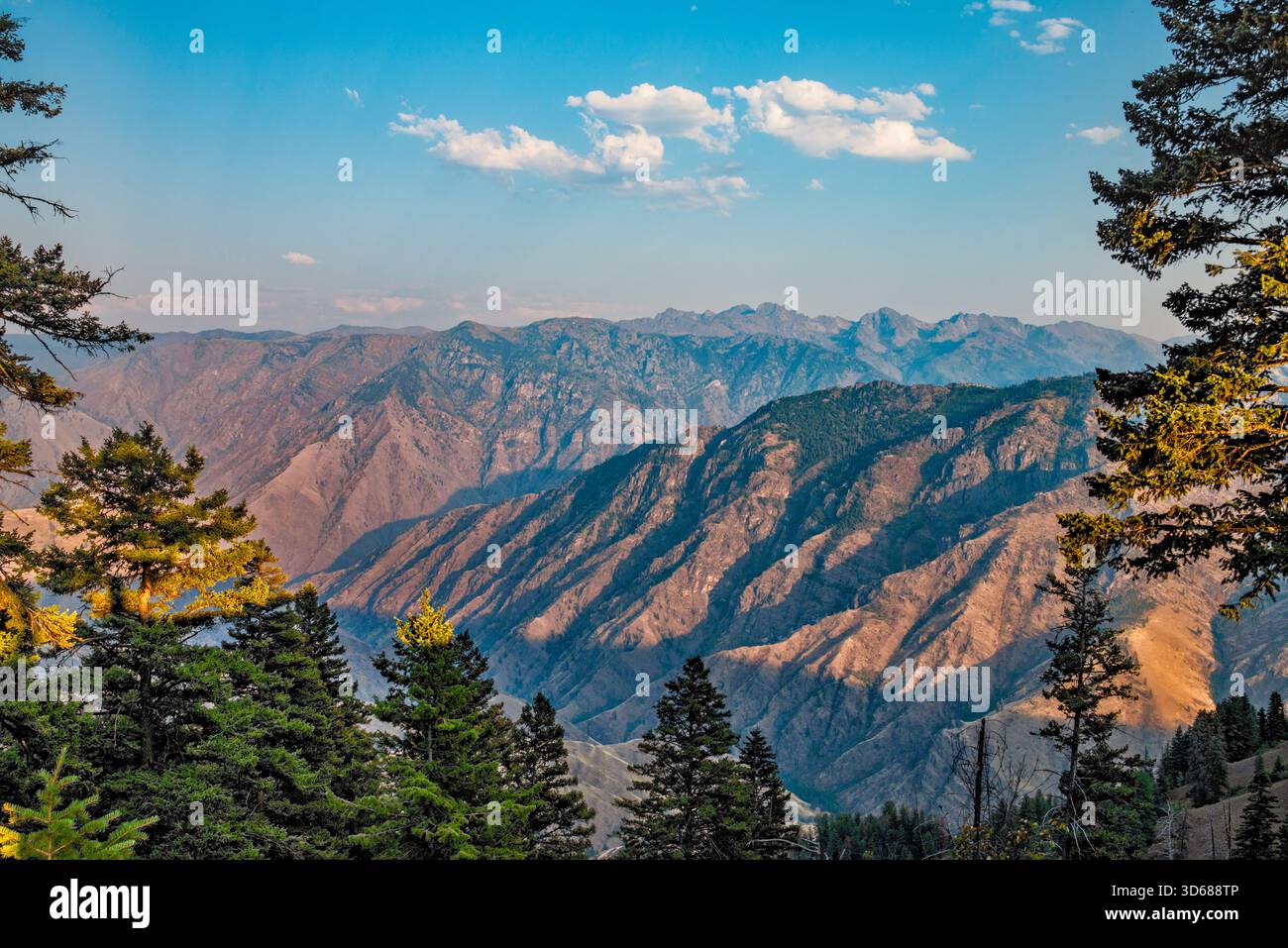 Hells Canyon, vista da Summit Ridge, vicino al tramonto, al Saddle Creek Campground, Seven Devils Mtns a dist, Wallowa Whitman Natl Forest, Oregon, Stati Uniti Foto Stock
