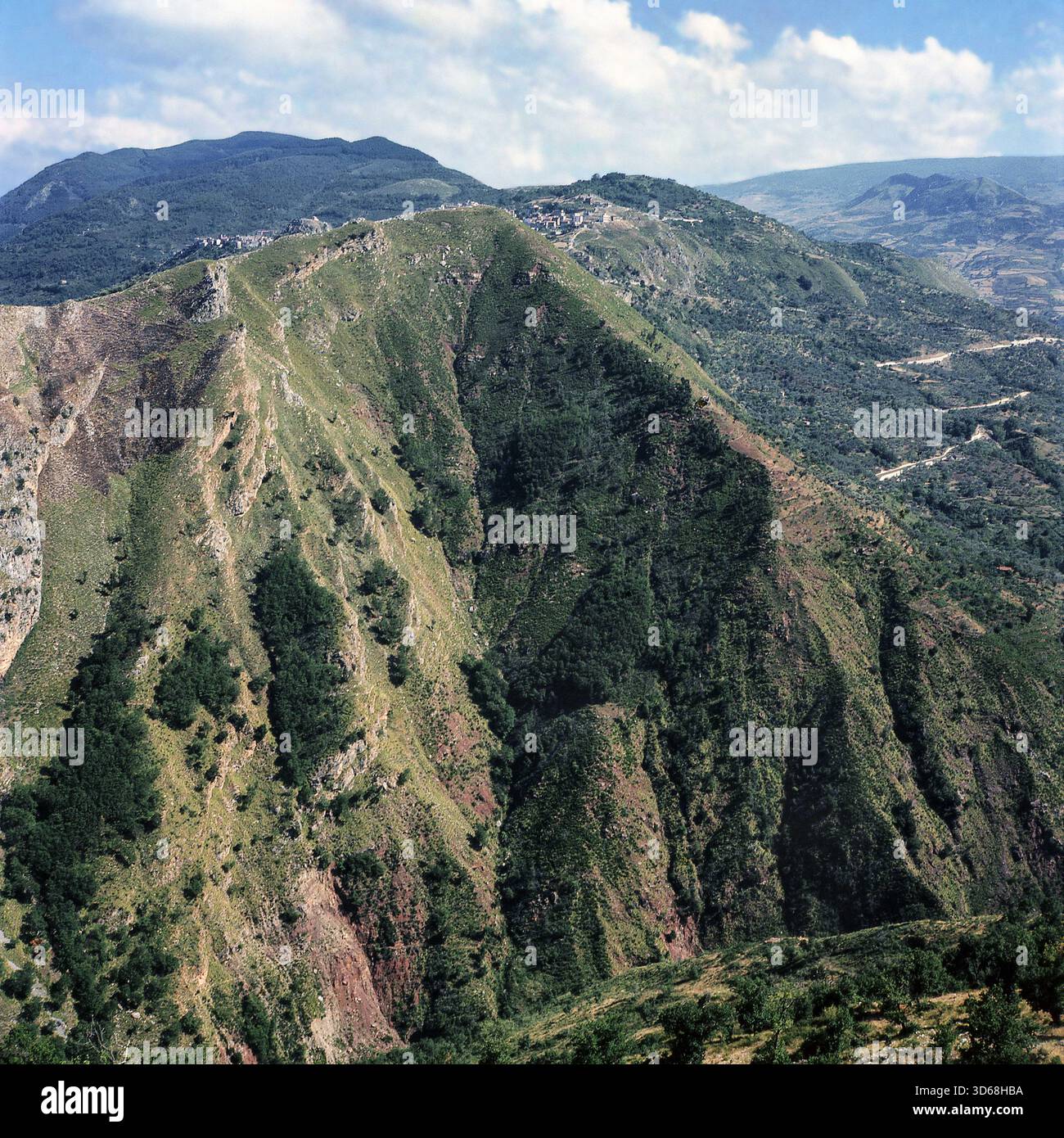 Natura, Italia, regione Sicilia 1975 Monti Nebrodi. Foto Stock