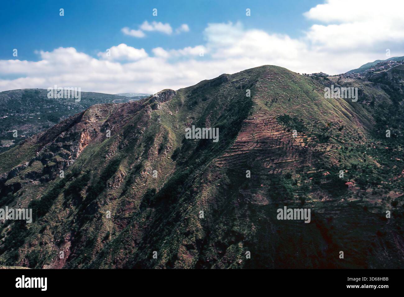 Natura, Italia, regione Sicilia 1975 Monti Nebrodi. Foto Stock
