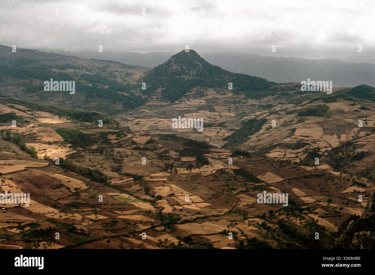 Natura, Italia, regione Sicilia 1975 Monti Nebrodi. Foto Stock