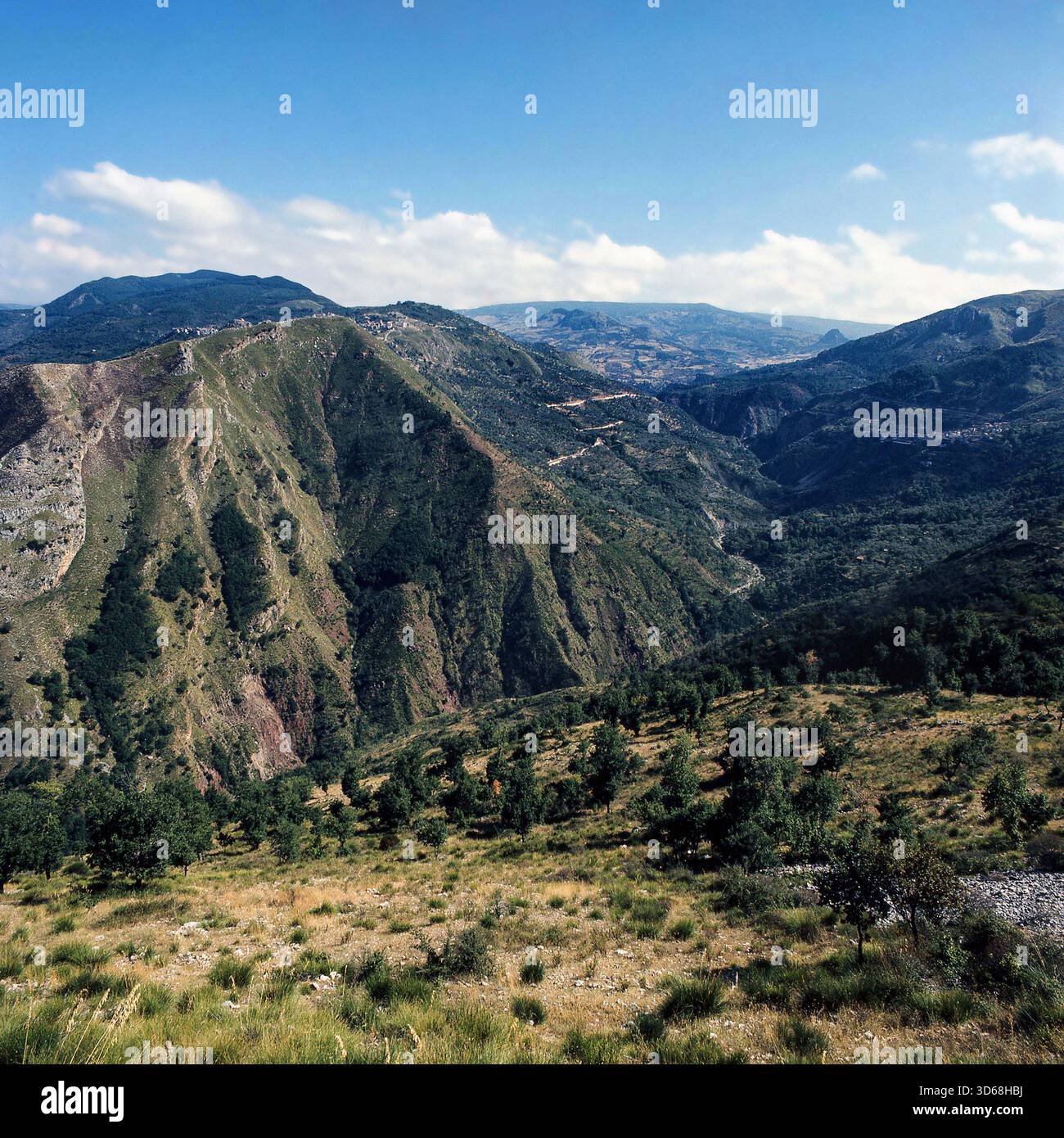Natura, Italia, regione Sicilia 1975 Monti Nebrodi. Foto Stock