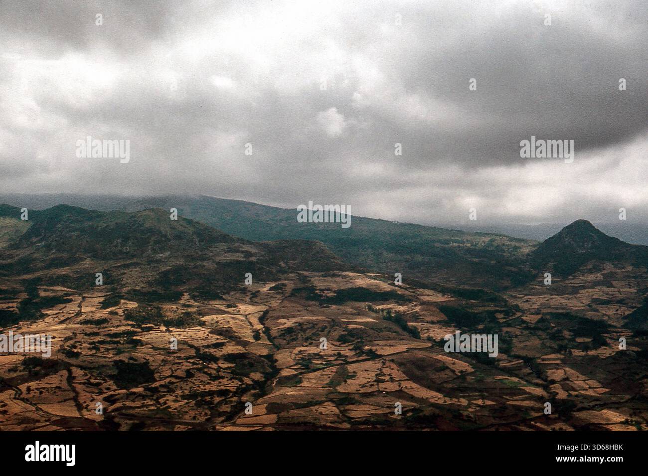 Natura, Italia, regione Sicilia 1975 Monti Nebrodi. Foto Stock