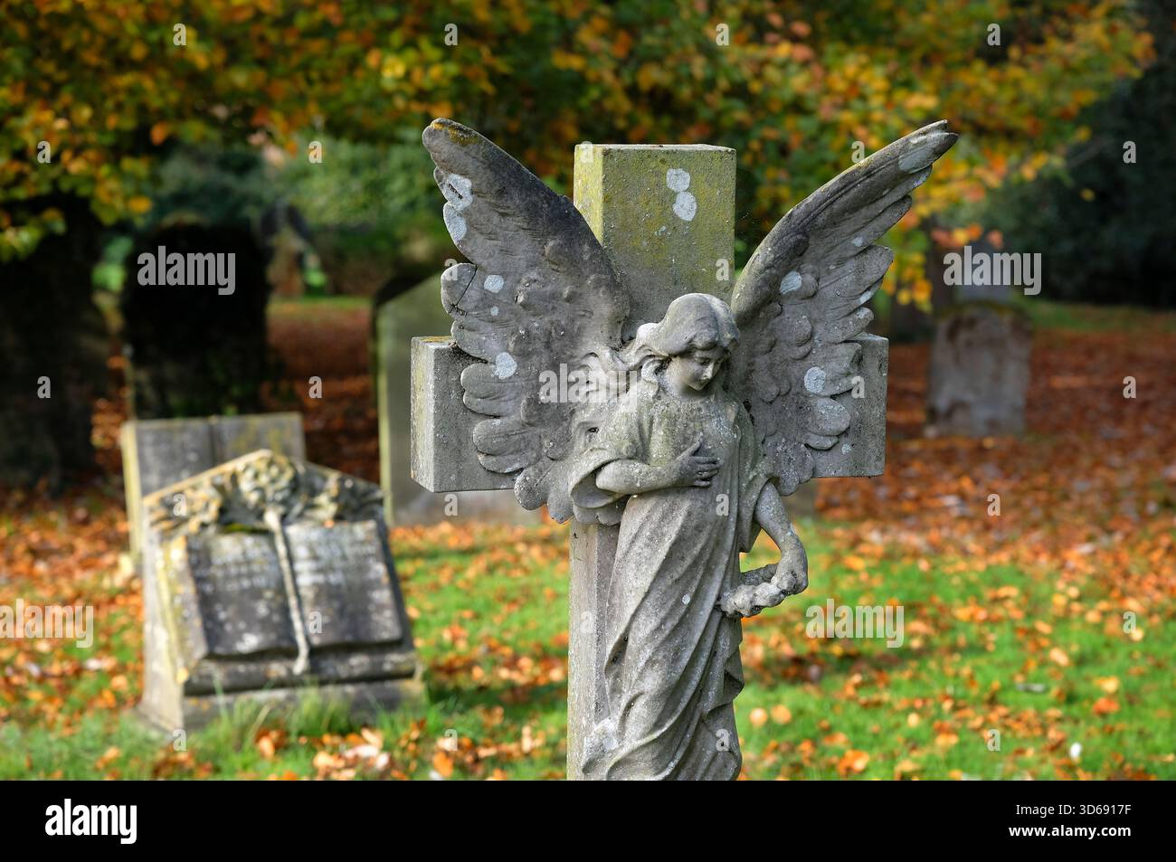 angeli di pietra scolpiti nel cimitero di fakenham, norfolk, inghilterra Foto Stock