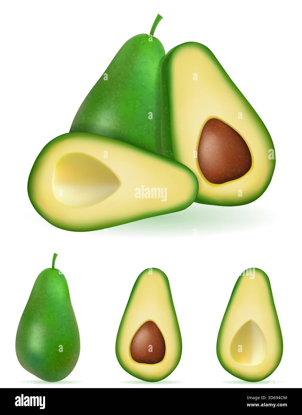 avocado verde frutta fresca matura illustrazione vettoriale del brodo di cartoni animati isolato su sfondo bianco Foto Stock