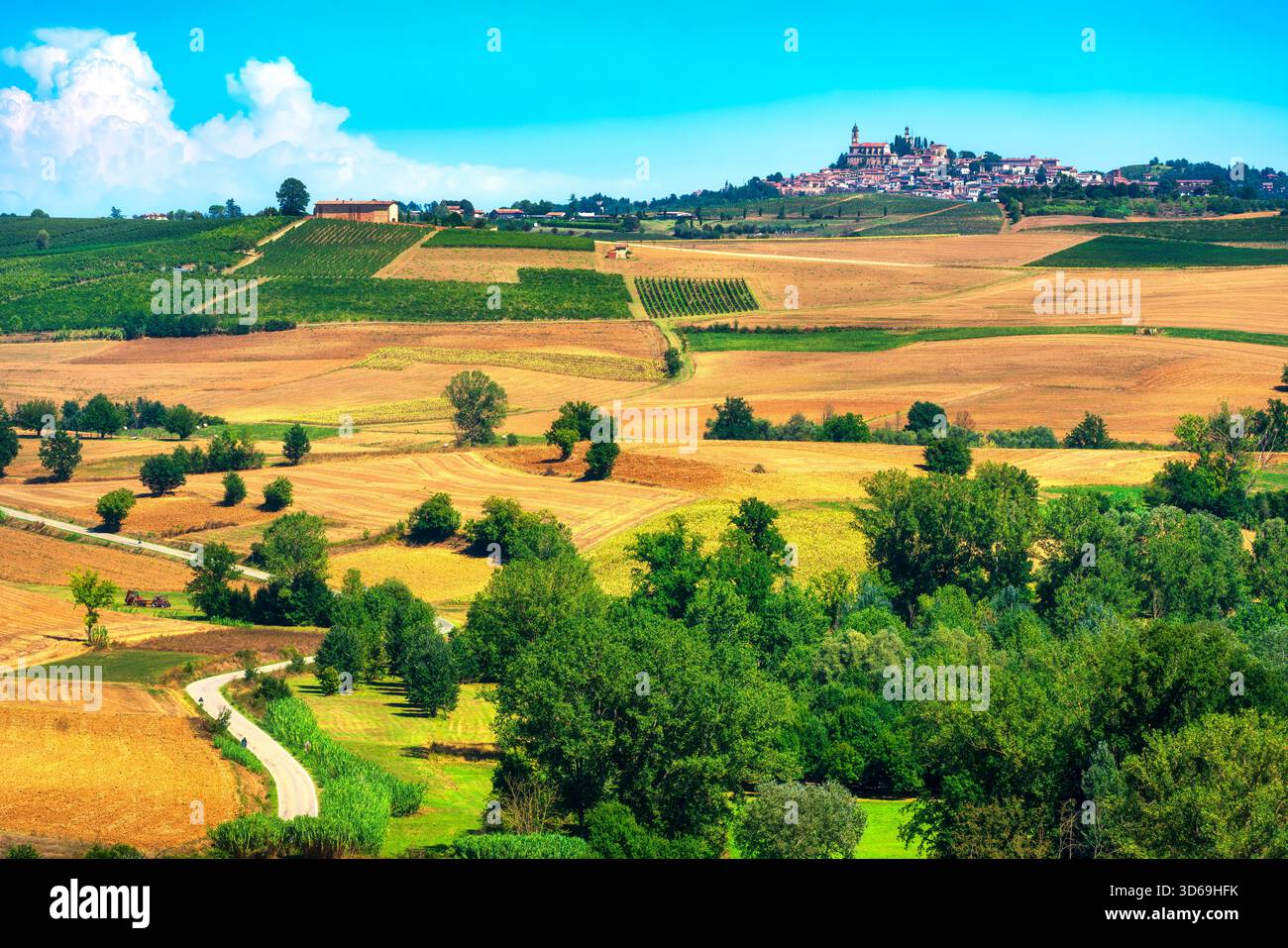 Vista del paesaggio del Monferrato con campi dorati e alberi di patchwork. Il paese di Vignale Monferrato, coronato dalla sua chiesa, è visibile sul d.i Foto Stock