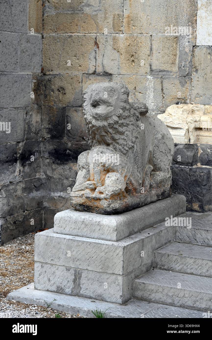 Leone di pietra intemprato all'ingresso della Cattedrale romanica di Notre-Dame-du-Bourg, fontana c9th Digne-les-Bains Alpes-de-Haute-Provence Provence Francia Foto Stock