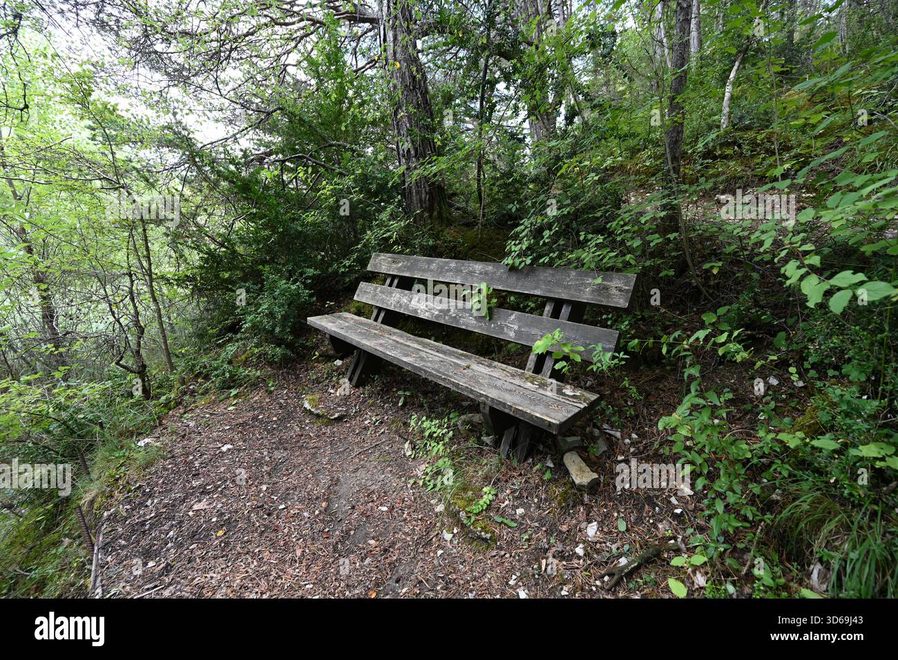Panca in legno, mobili all'aperto o posti a sedere in stile rustico nella foresta Foto Stock