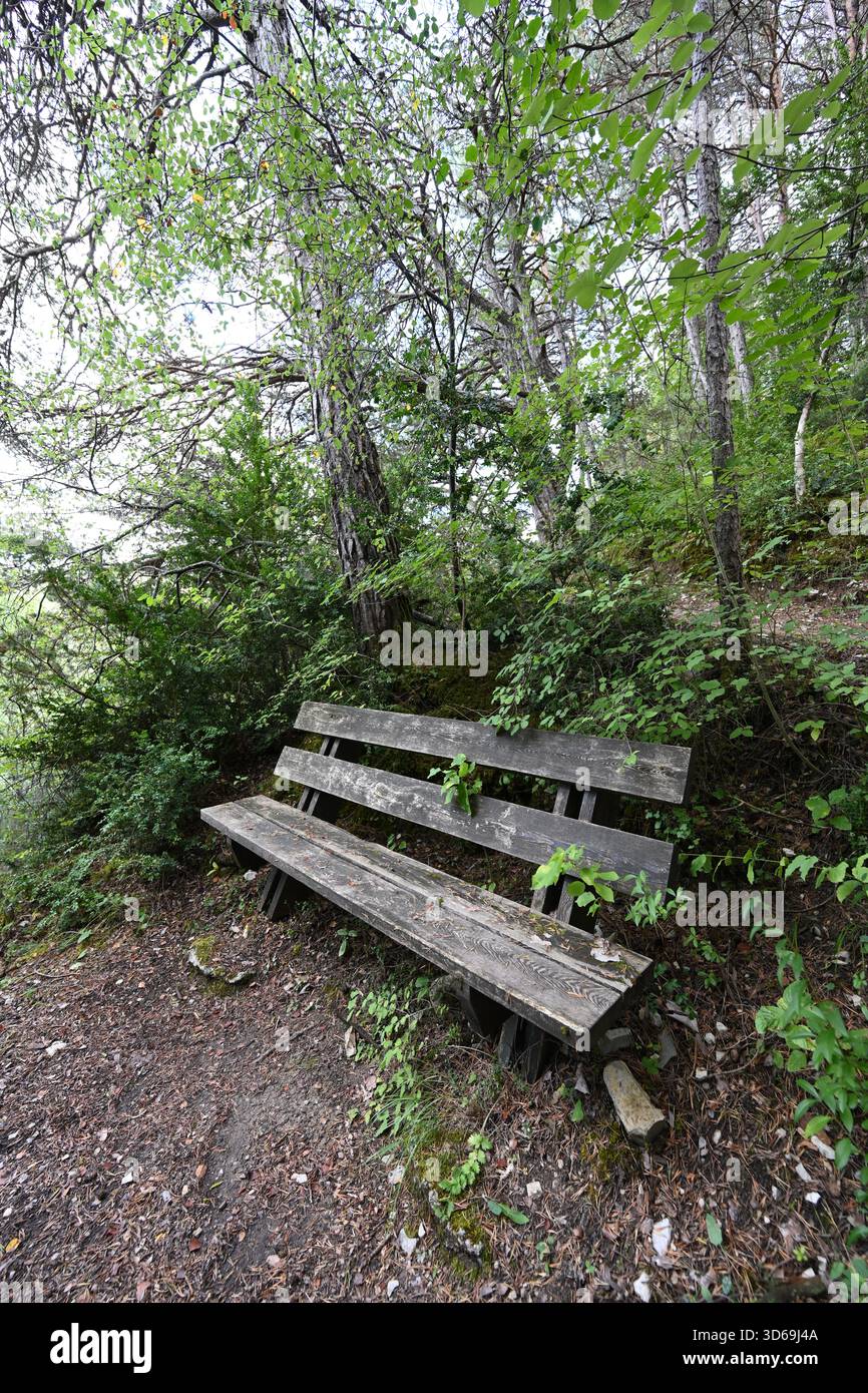 Panca in legno, mobili all'aperto o posti a sedere in stile rustico nella foresta Foto Stock