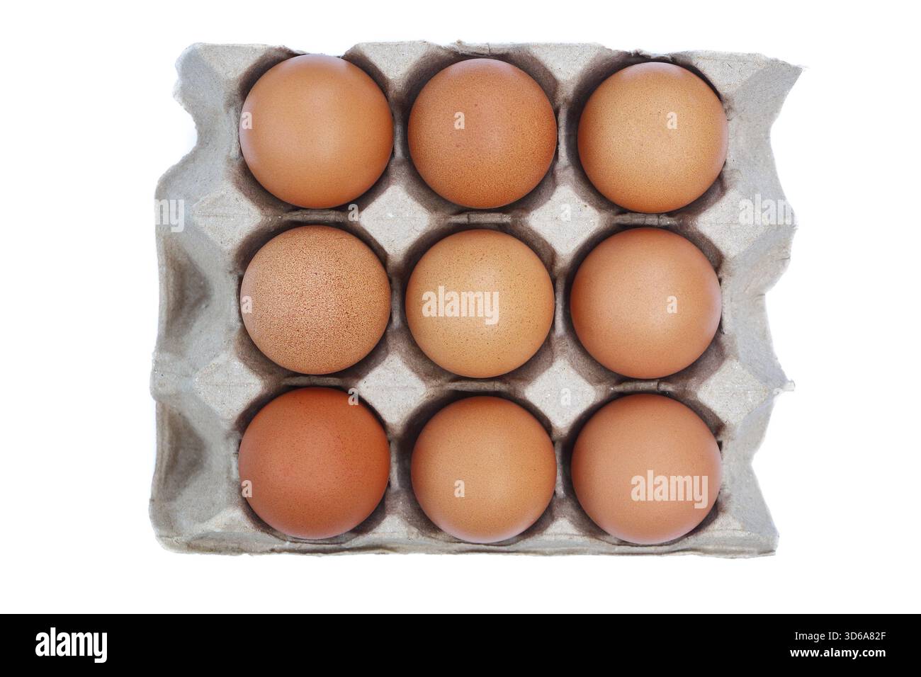 nove uova su vassoio di carta riciclata isolato su bianco. Foto Stock