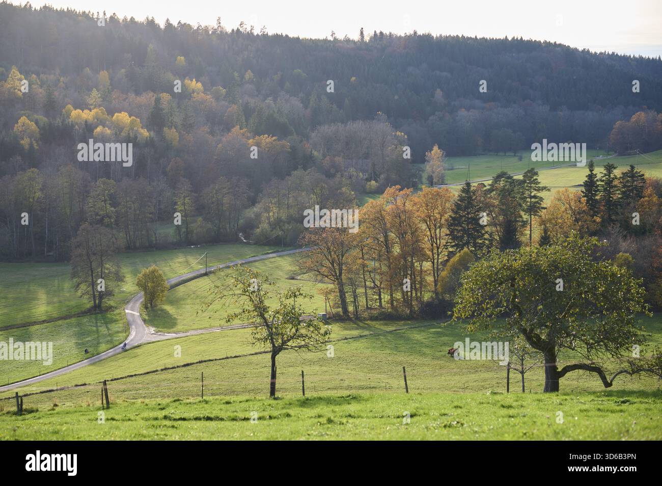 Vista della Rottal autunnale vicino a Wielandsweiler, Schwaebisch Hall, Parco naturale della Foresta Sveva-Franconica, Rot, Hohenlohe, Germania Foto Stock