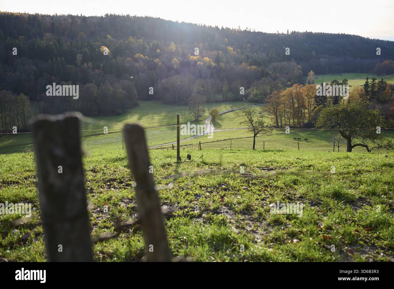 Vista della Rottal autunnale vicino a Wielandsweiler, Schwaebisch Hall, Parco naturale della Foresta Sveva-Franconica, Rot, Hohenlohe, Germania Foto Stock