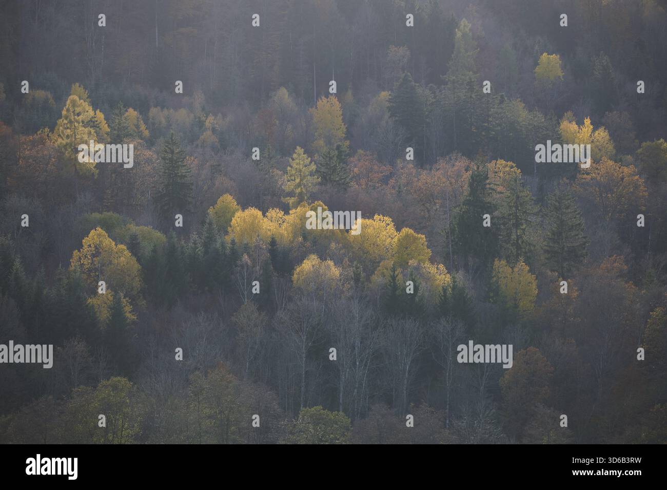 Vista della Rottal autunnale vicino a Wielandsweiler, Schwaebisch Hall, Parco naturale della Foresta Sveva-Franconica, Rot, Hohenlohe, Germania Foto Stock