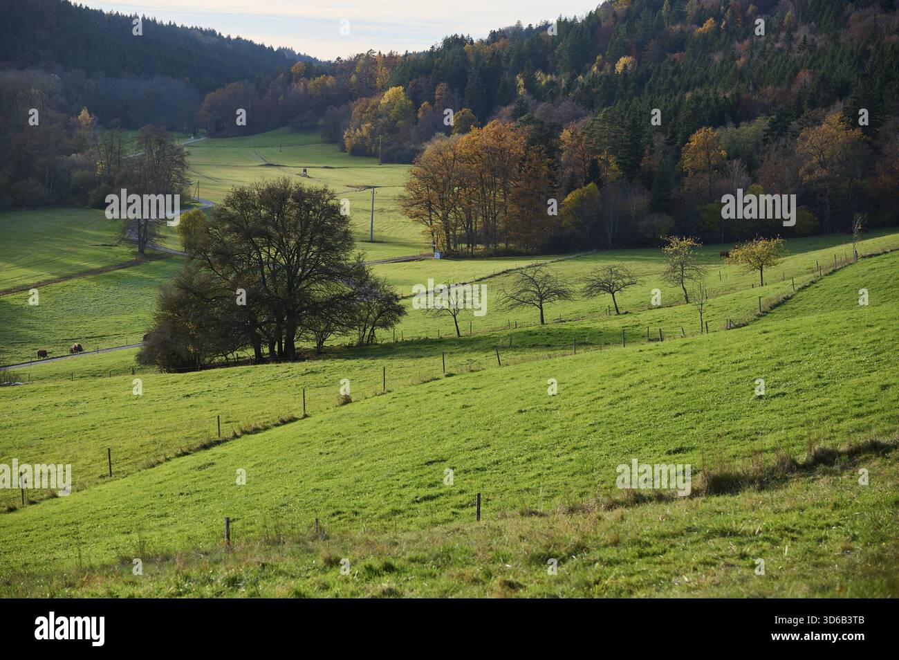 Vista della Rottal autunnale vicino a Wielandsweiler, Schwaebisch Hall, Parco naturale della Foresta Sveva-Franconica, Rot, Hohenlohe, Germania Foto Stock