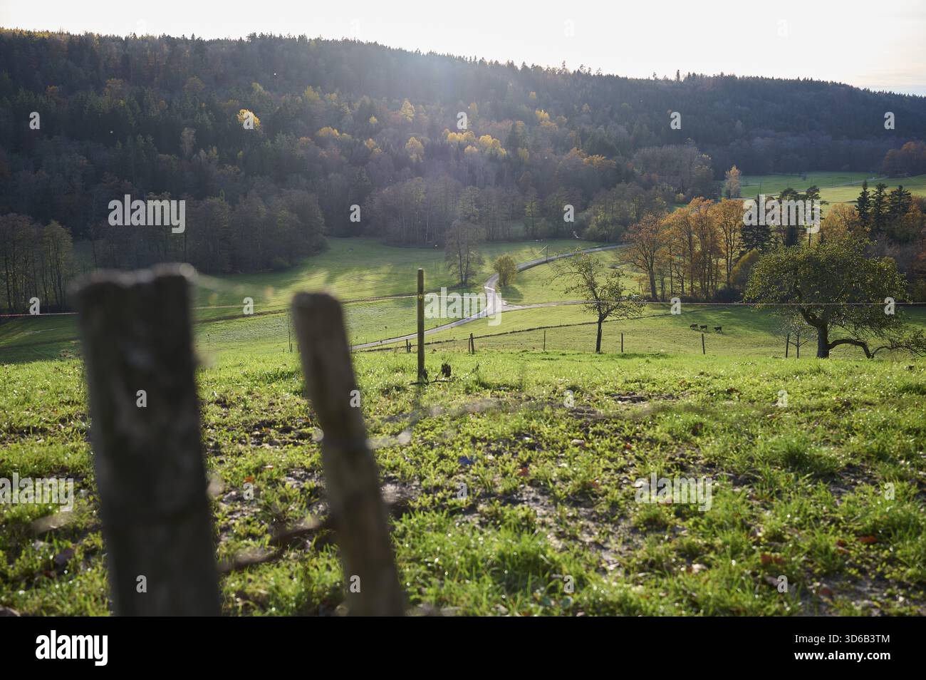 Vista della Rottal autunnale vicino a Wielandsweiler, Schwaebisch Hall, Parco naturale della Foresta Sveva-Franconica, Rot, Hohenlohe, Germania Foto Stock