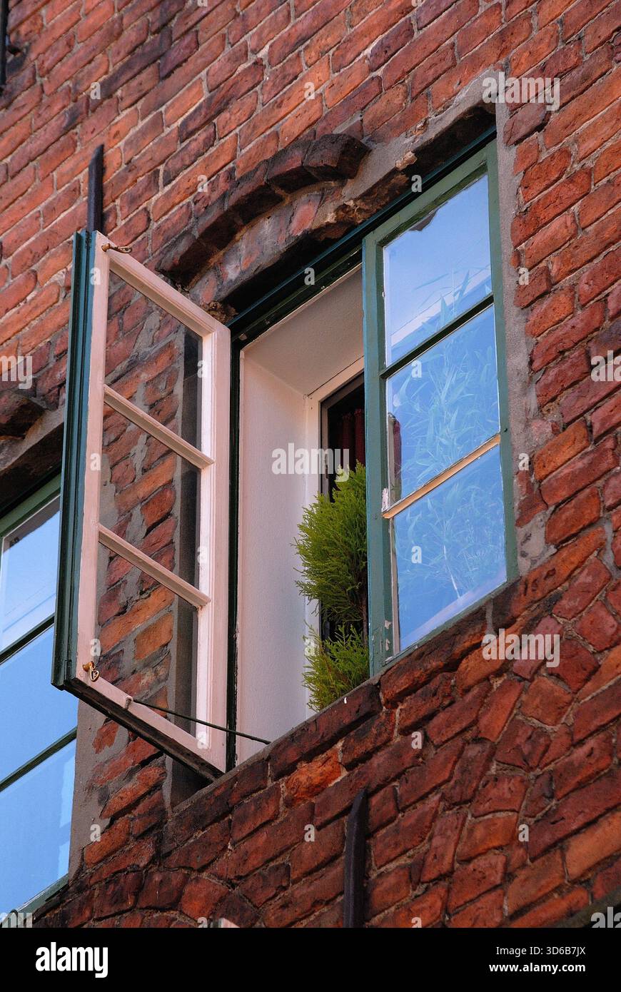 Una finestra verde aperta in una vecchia facciata in mattoni, che rivela una pianta all'interno. Foto Stock
