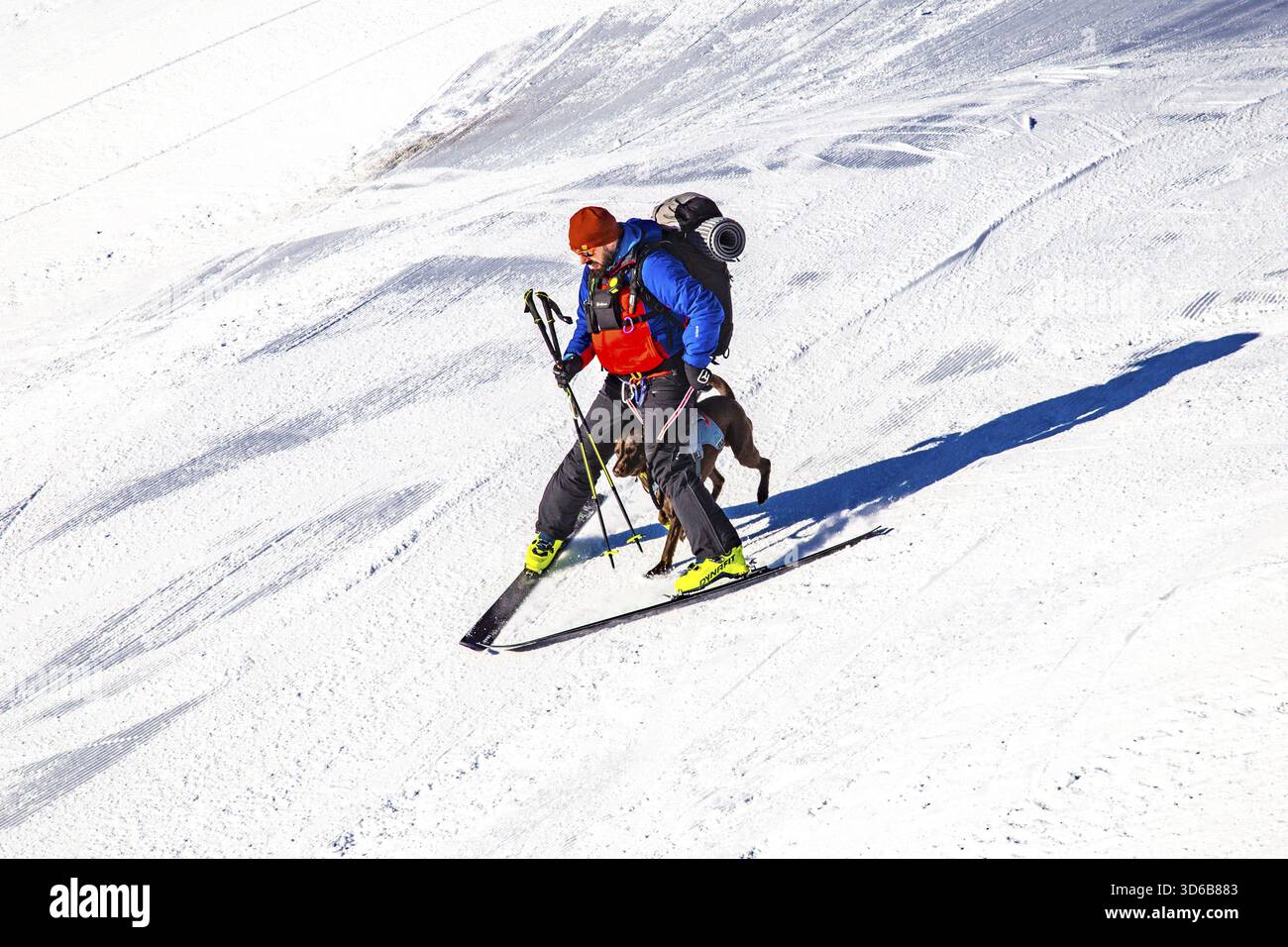 Sciatori con cani sulle piste, Garmisch Classic ski area, Garmisch-Partenkirchen Foto Stock