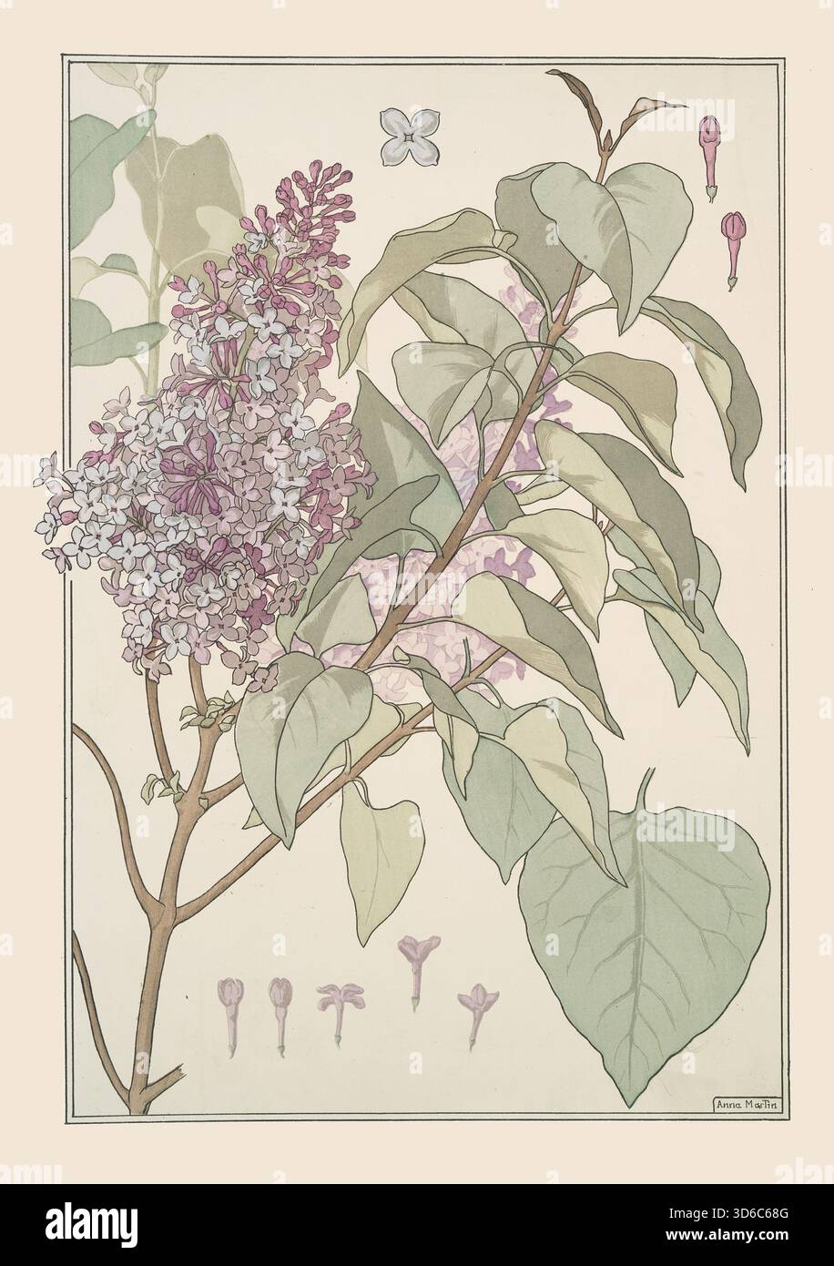 « Lilas (1896). Maurice Pillard Verneuil (francese, 1869-1942)» Foto Stock