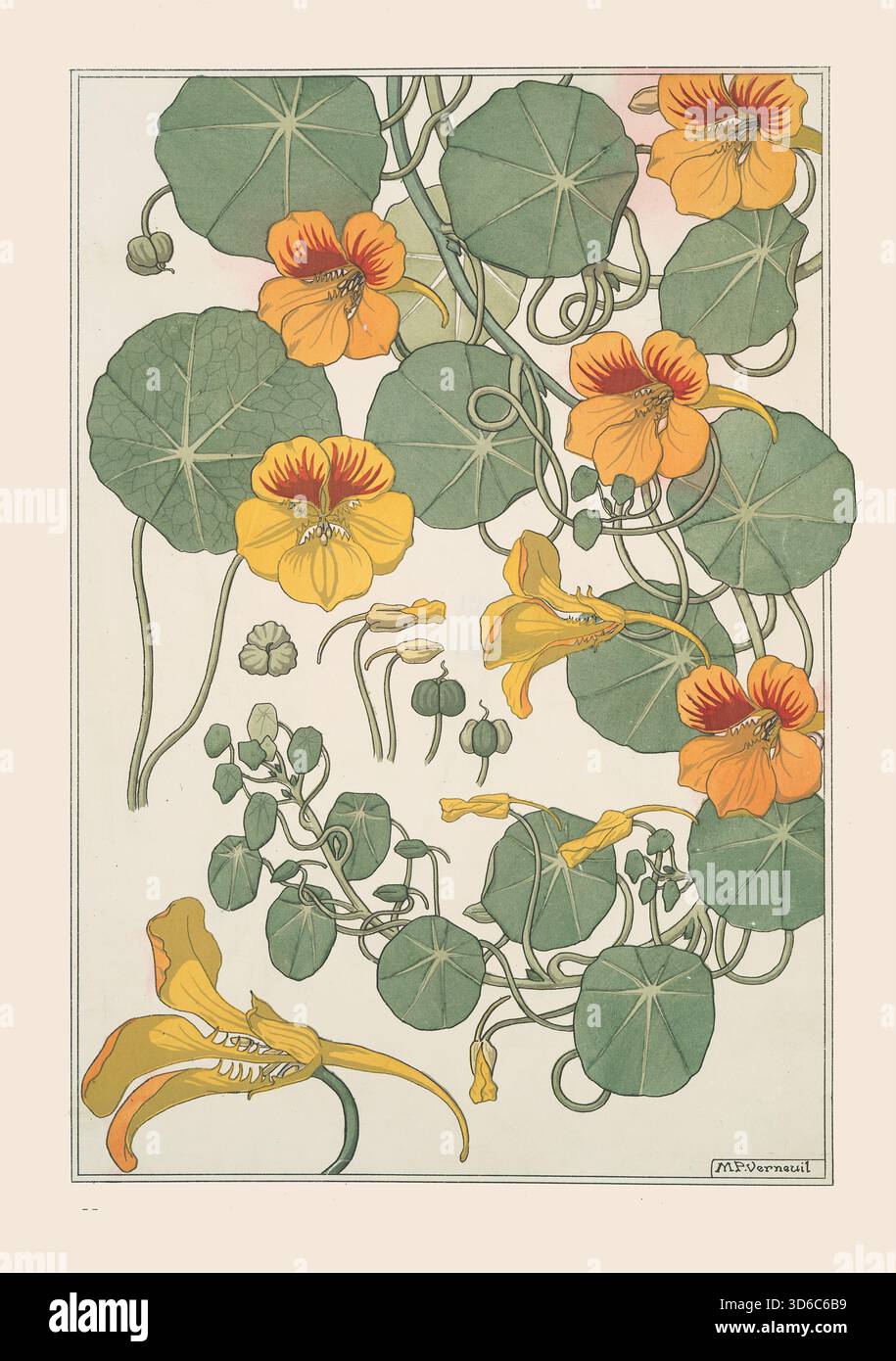 « Capucina (1896). Maurice Pillard Verneuil (francese, 1869-1942)» Foto Stock