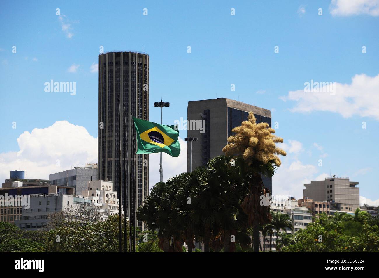 Rio De Janeiro, Brasile. 19 novembre 2025. Una palma Talipot (Corypha umbraculifera) nel Parco Eduardo Gomes (Parco Flamengo), nella zona meridionale di Rio de Janeiro, questo mercoledì 19. Originario dell'India meridionale e dello Sri Lanka, il Talipot è una rara specie di palma che fiorisce solo una volta nella sua vita, tra i 40 e i 70 anni dopo essere stato piantato. Fu introdotto nel parco negli anni '1960 dall'architetto paesaggista Roberto Burle Marx. Crediti: Brasile Photo Press/Alamy Live News Foto Stock