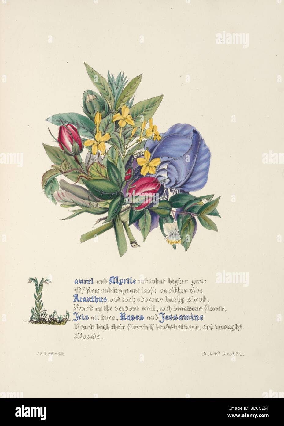 "Laurel e myrtle (1846). Jane Elizabeth Giraud (inglese, 1810-1868)» Foto Stock