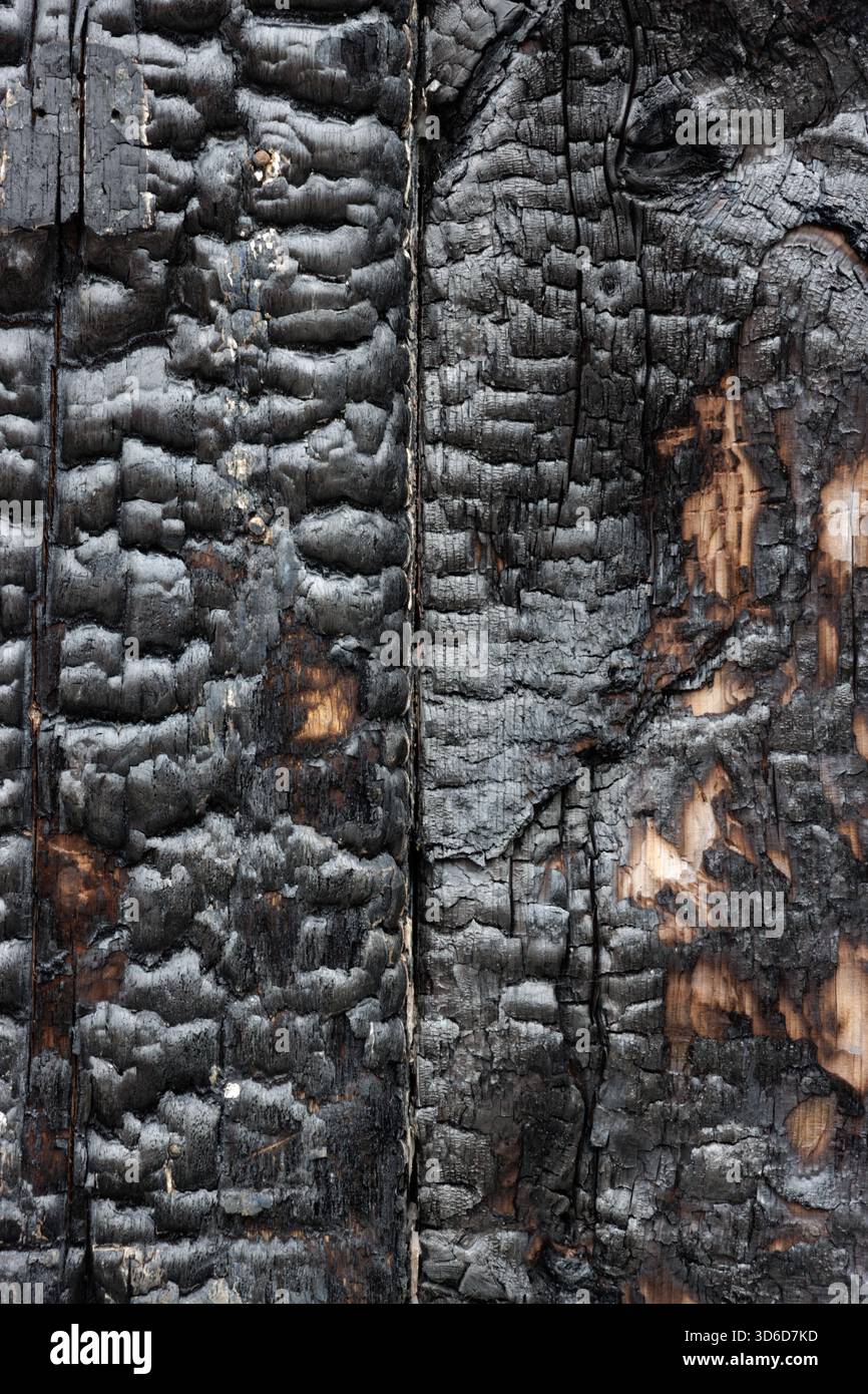 Superficie nera incrinata bruciata di legno naturale Foto Stock