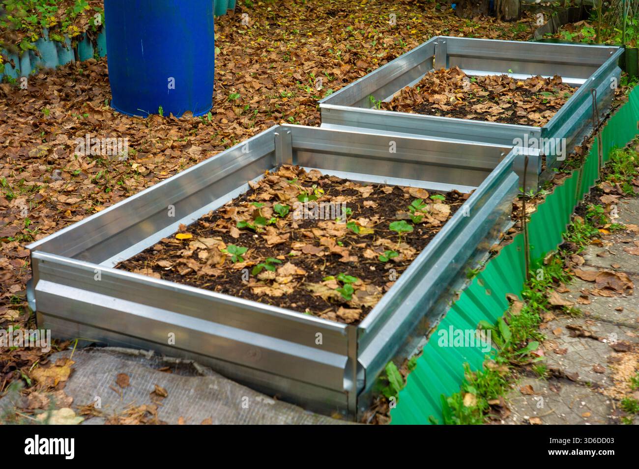 il letto di verdure è stato preparato per svernare, per il primo giorno di autunno Foto Stock
