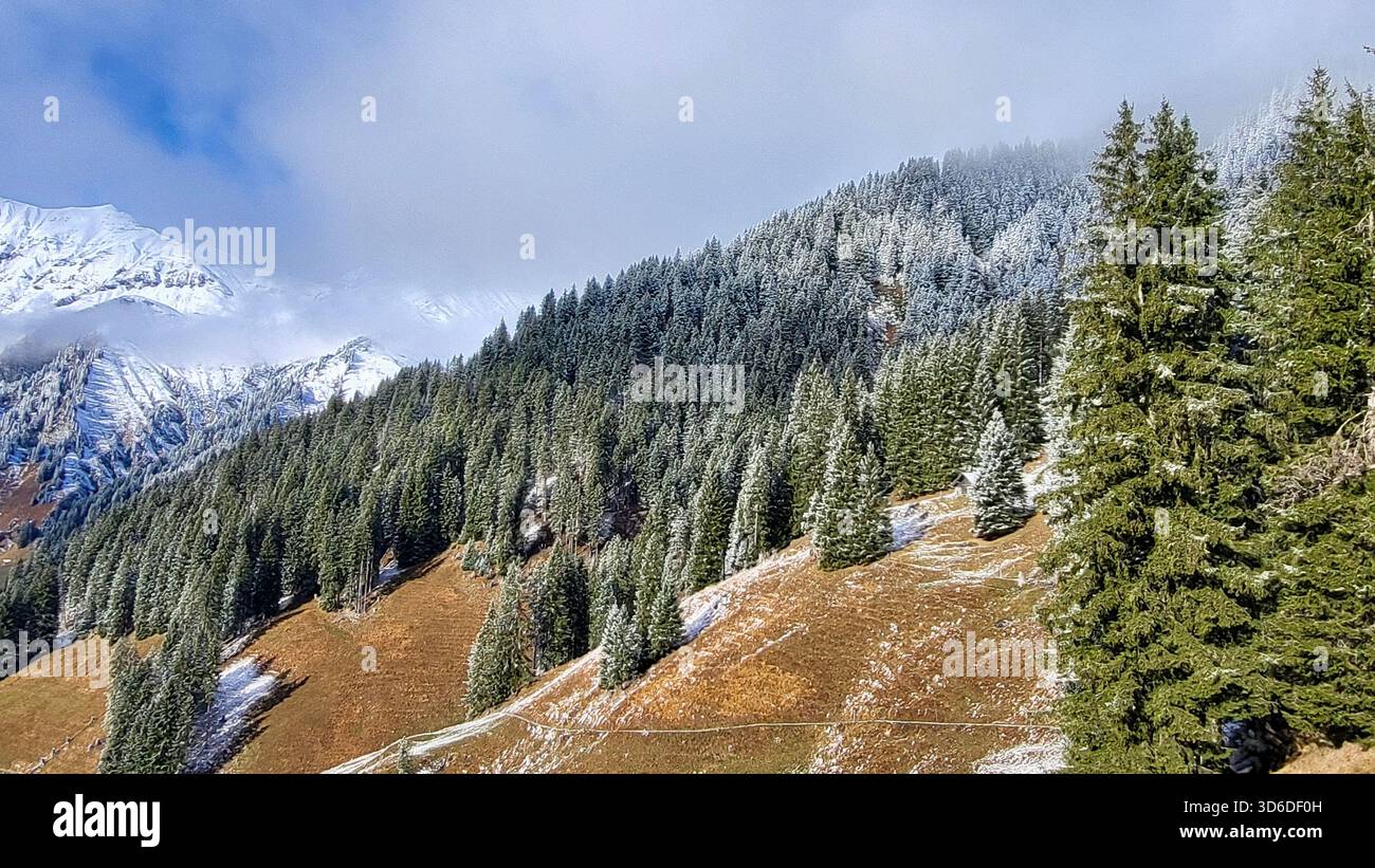 Magici pascoli alpini da fiaba in autunno, circondati da tonalità di stagione dorate e abeti ricoperti di gelo, Adelboden, Berbese Oberland, Svizzera Foto Stock