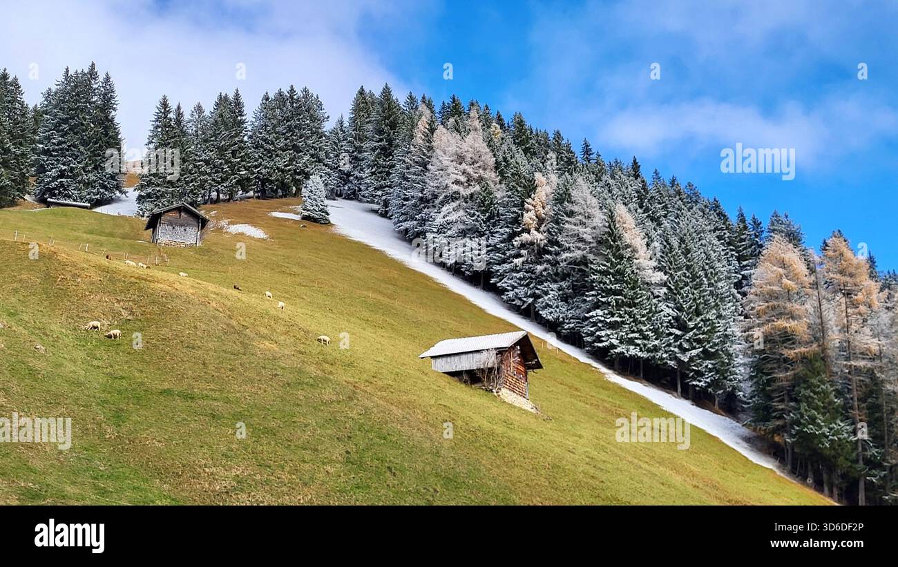 Fiabesco pascolo alpino autunnale con capanne di legno e foresta di Fir ghiacciati di Adelboden nell'Oberland Bernese, Svizzera Foto Stock
