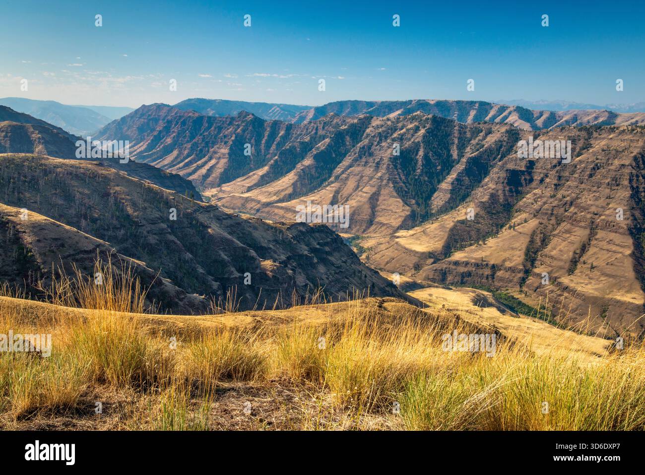 Imnaha River Canyon, Sheep Creek divide, area di Hells Canyon, da file Mile Point a Grizzly Ridge, Hat Point Rd, Wallowa Whitman Natl Forest, Oregon Foto Stock