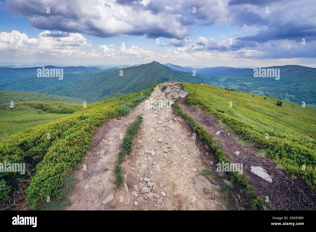 Il percorso nei pressi di Winnie the Pooh capanna rifugio su una roccia Hasiakowa montagna, parte dei prati Wetlina in Western monti Bieszczady in Polonia Foto Stock