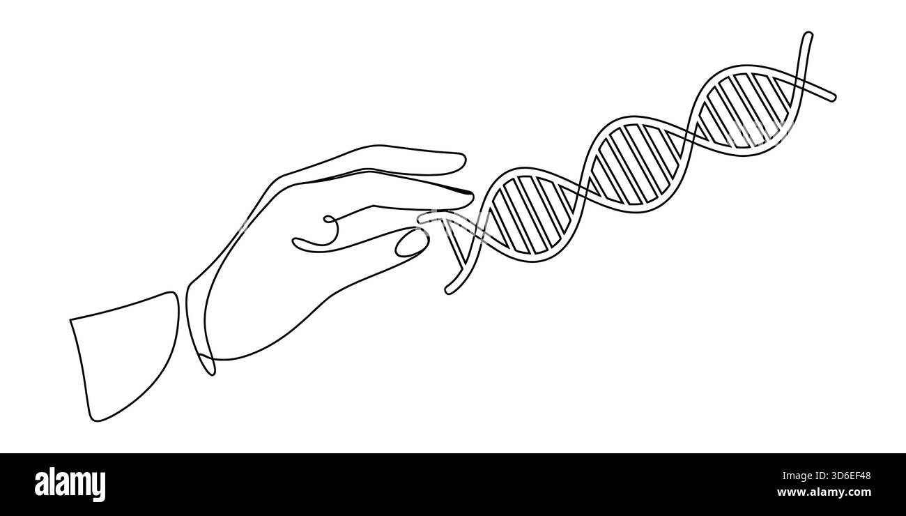 Mano umana che si connette delicatamente con una doppia elica dna, arte minimalista Illustrazione Vettoriale