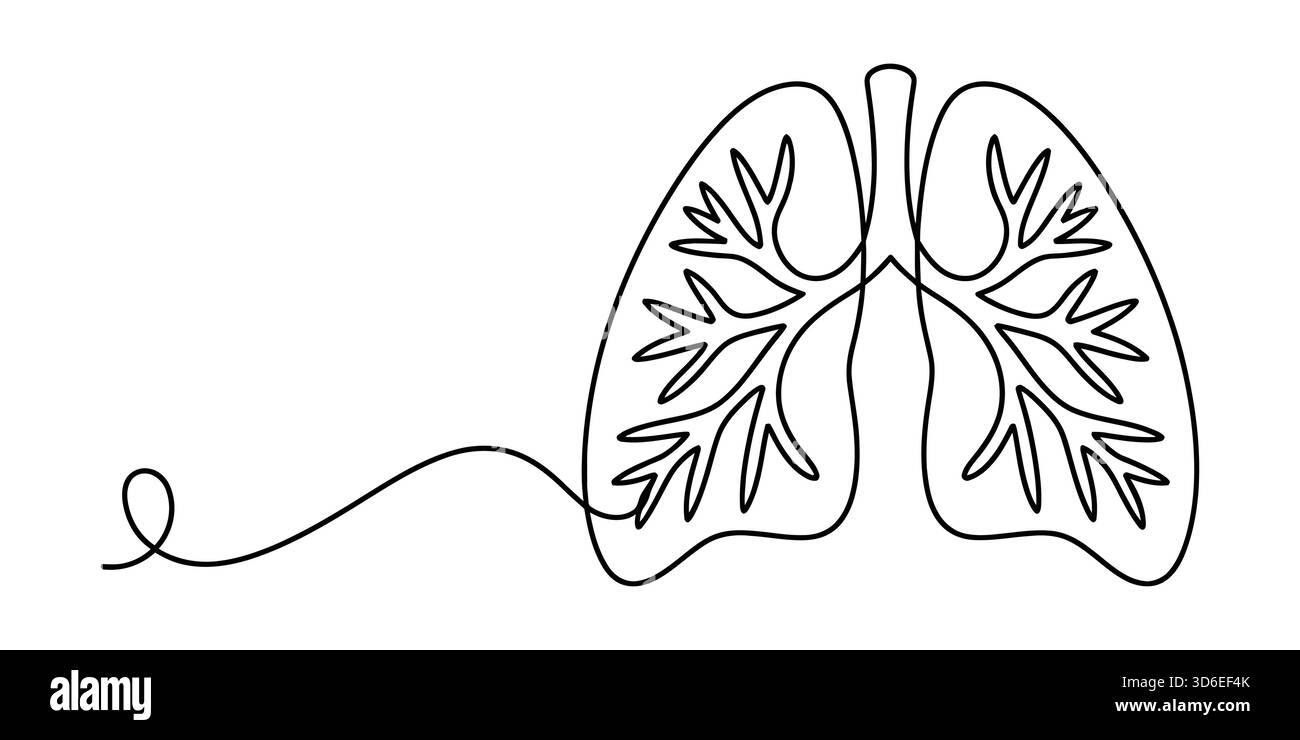 Linea continua minimalista che disegna polmoni umani, organo respiratorio sano vitale Illustrazione Vettoriale